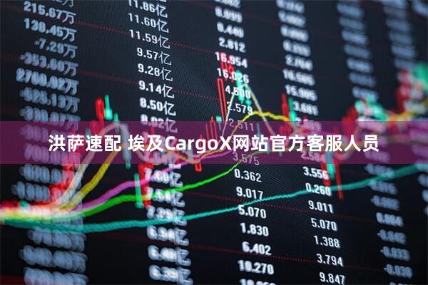 洪萨速配 埃及CargoX网站官方客服人员
