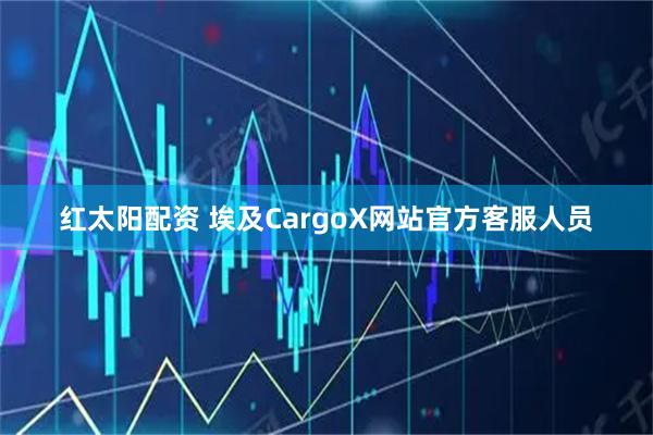 红太阳配资 埃及CargoX网站官方客服人员