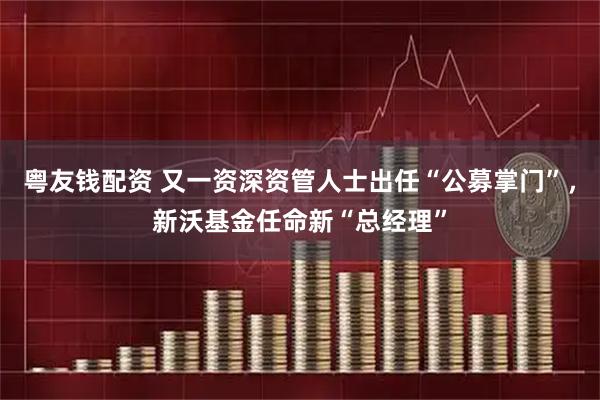 粤友钱配资 又一资深资管人士出任“公募掌门”,新沃基金任命新“总经理”