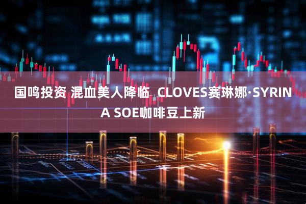 国鸣投资 混血美人降临  CLOVES赛琳娜·SYRINA SOE咖啡豆上新
